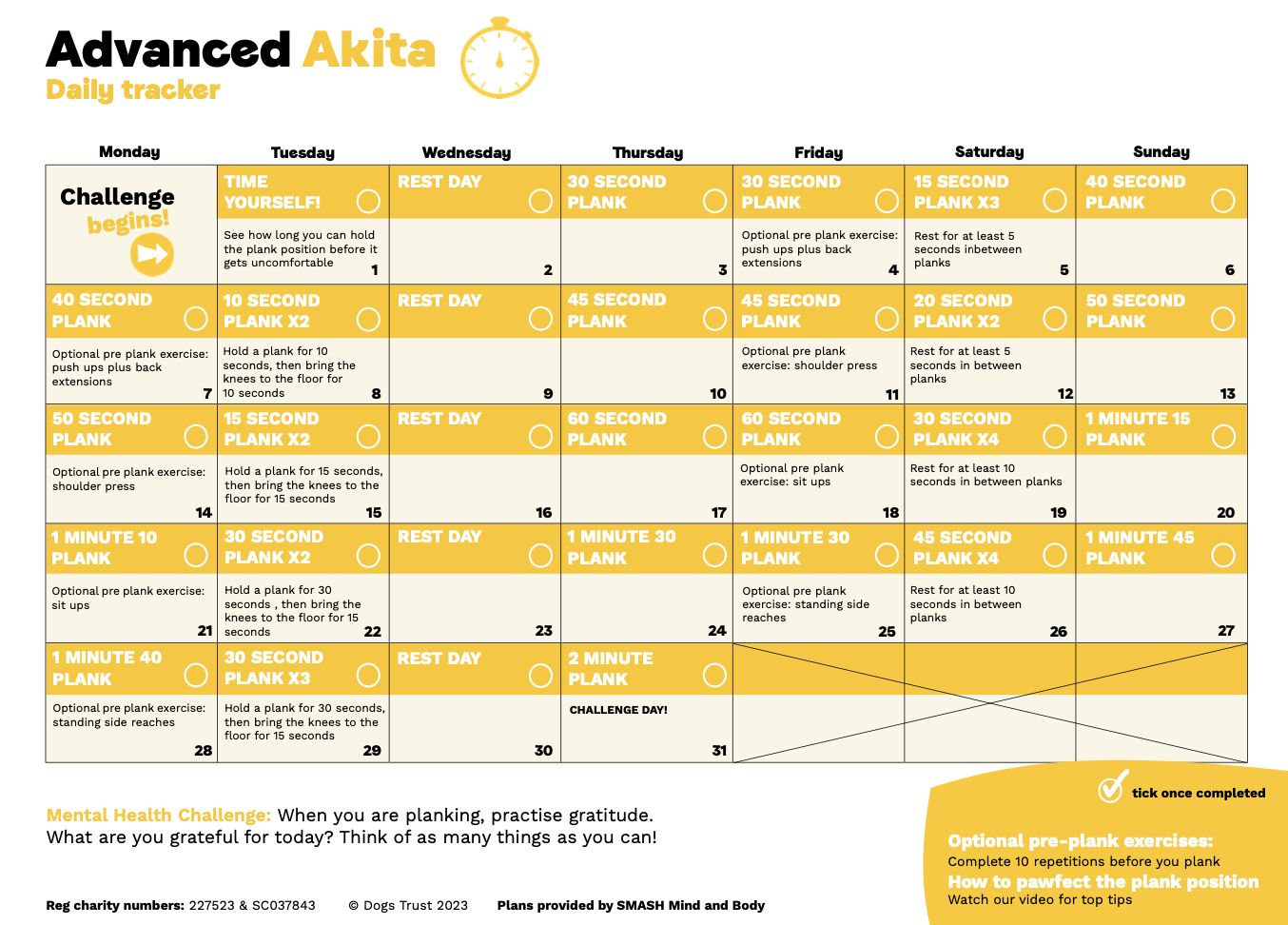 Plank challenge online advanced